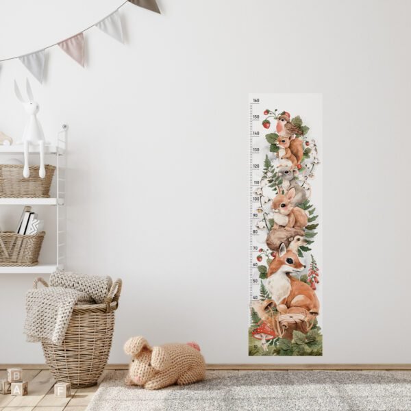 VISINOMJER ŠUMSKI KUTAK